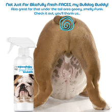 Load image into Gallery viewer, Blissfully Fresh Face Wash I 4, 8 & 16 oz