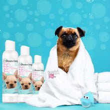 Load image into Gallery viewer, Bye Bye Boo Boo Dog Shampoo for Itchy Skin