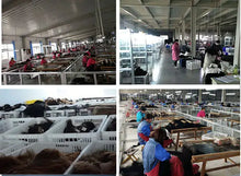 Load image into Gallery viewer, H023f5ff467a74fadbb95534f0bc16dddy.jpg