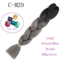 Load image into Gallery viewer, Ombre Jumbo Braids Hair 24inch 100g Synthetic Braiding Hair Crochet Braid Hair Extension  for Women Blond Brown Pink Purple