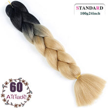 Load image into Gallery viewer, AILIADE 24 inch Jumbo Braids Long Ombre Synthetic High Temperature Braiding Kanekalon Hair Extensions African White Black Women
