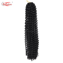 Load image into Gallery viewer, Hce11c1b9d1da4f8b882676ad0000ab2bc.jpg