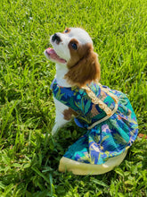 Load image into Gallery viewer, Amazonia Dress
