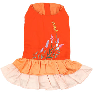 Color Block Garden Dress