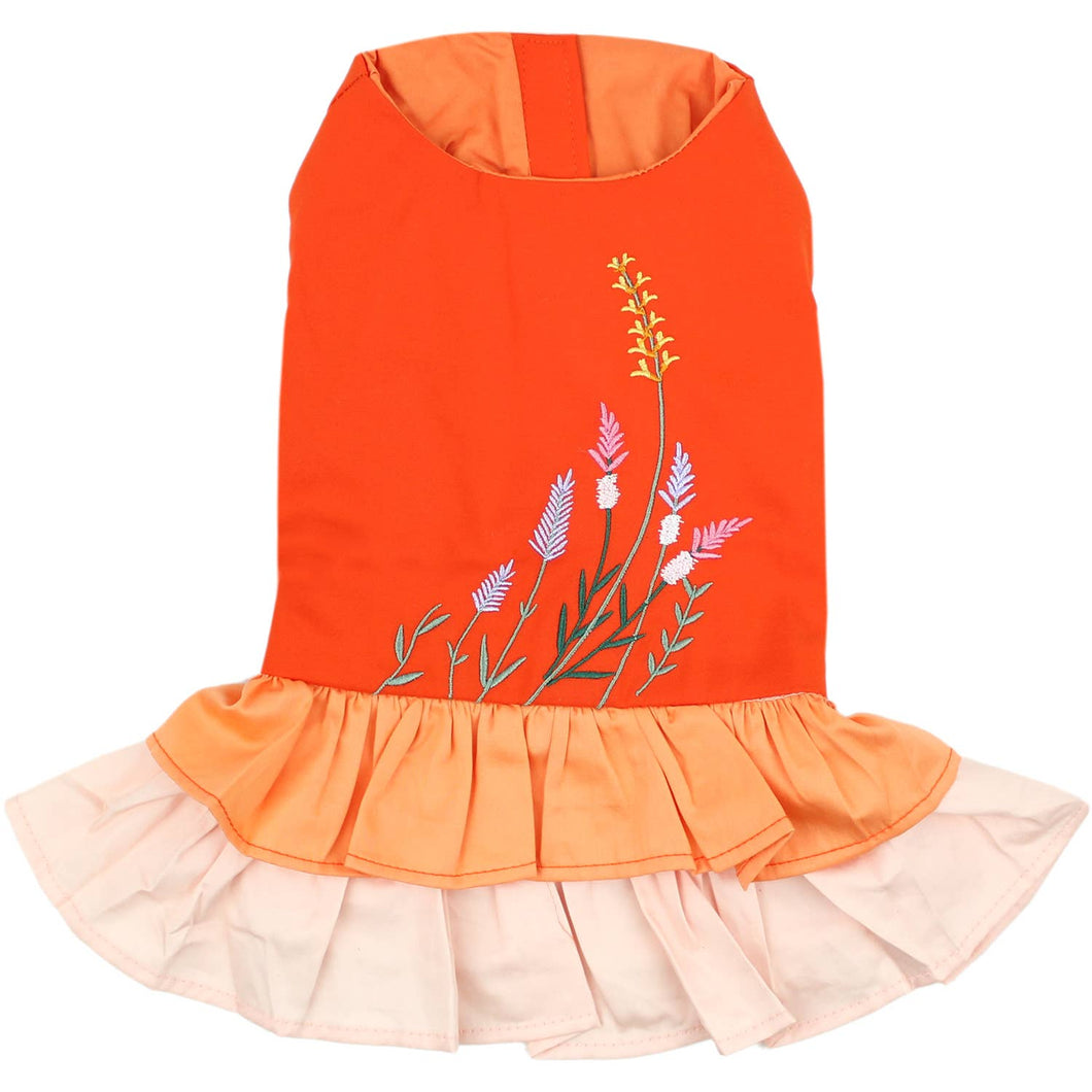 Color Block Garden Dress