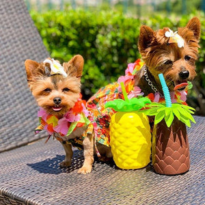 Hawaiian Dress
