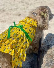 Load image into Gallery viewer, Cactus Tiered Dress
