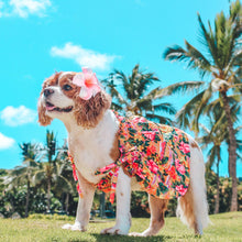 Load image into Gallery viewer, Hawaiian Dress
