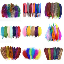 Load image into Gallery viewer, Many Kinds Multicolour Combinations Goose Ostrich Feathers Crafts Pheasant Chicken Turkey Peacock Feather Handicraft Accessories
