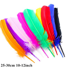 Load image into Gallery viewer, Many Kinds Multicolour Combinations Goose Ostrich Feathers Crafts Pheasant Chicken Turkey Peacock Feather Handicraft Accessories
