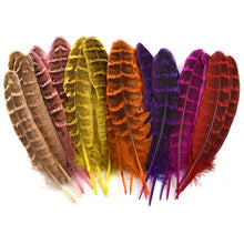 Load image into Gallery viewer, Many Kinds Multicolour Combinations Goose Ostrich Feathers Crafts Pheasant Chicken Turkey Peacock Feather Handicraft Accessories
