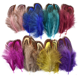 Many Kinds Multicolour Combinations Goose Ostrich Feathers Crafts Pheasant Chicken Turkey Peacock Feather Handicraft Accessories