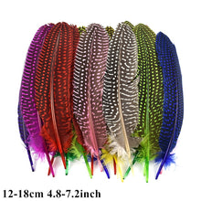 Load image into Gallery viewer, Many Kinds Multicolour Combinations Goose Ostrich Feathers Crafts Pheasant Chicken Turkey Peacock Feather Handicraft Accessories
