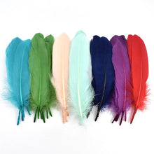 Load image into Gallery viewer, Many Kinds Multicolour Combinations Goose Ostrich Feathers Crafts Pheasant Chicken Turkey Peacock Feather Handicraft Accessories
