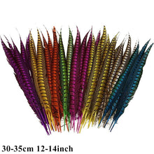 Load image into Gallery viewer, Many Kinds Multicolour Combinations Goose Ostrich Feathers Crafts Pheasant Chicken Turkey Peacock Feather Handicraft Accessories
