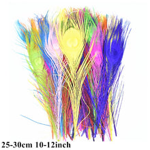 Load image into Gallery viewer, Many Kinds Multicolour Combinations Goose Ostrich Feathers Crafts Pheasant Chicken Turkey Peacock Feather Handicraft Accessories
