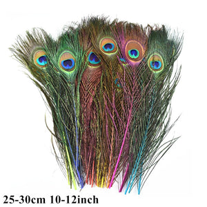 Many Kinds Multicolour Combinations Goose Ostrich Feathers Crafts Pheasant Chicken Turkey Peacock Feather Handicraft Accessories