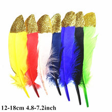 Load image into Gallery viewer, Many Kinds Multicolour Combinations Goose Ostrich Feathers Crafts Pheasant Chicken Turkey Peacock Feather Handicraft Accessories
