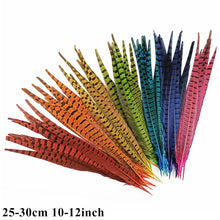 Load image into Gallery viewer, Many Kinds Multicolour Combinations Goose Ostrich Feathers Crafts Pheasant Chicken Turkey Peacock Feather Handicraft Accessories
