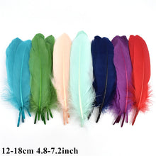 Load image into Gallery viewer, Many Kinds Multicolour Combinations Goose Ostrich Feathers Crafts Pheasant Chicken Turkey Peacock Feather Handicraft Accessories
