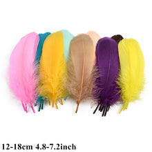 Load image into Gallery viewer, Many Kinds Multicolour Combinations Goose Ostrich Feathers Crafts Pheasant Chicken Turkey Peacock Feather Handicraft Accessories
