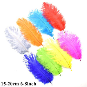 Many Kinds Multicolour Combinations Goose Ostrich Feathers Crafts Pheasant Chicken Turkey Peacock Feather Handicraft Accessories